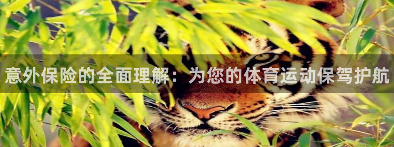 公海赌赌船官网下载平台是正规平台吗知乎：意外保险的全