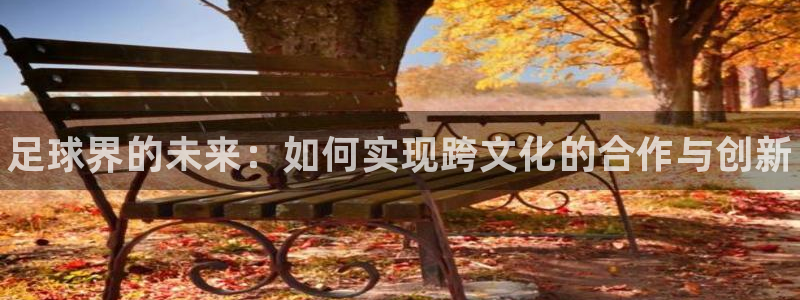 公海赌赌船官方正版app集团简介：足球界的未来：如何