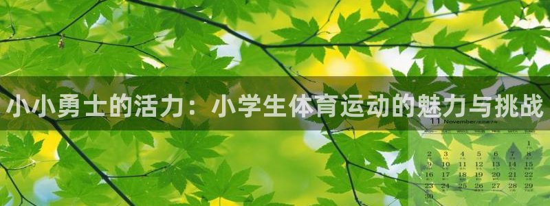 公海赌赌船官方正版app娱乐下载：小小勇士的活力：小