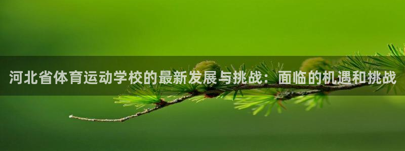 公海赌赌船官网下载平台是正规平台吗安全吗：河北省体育