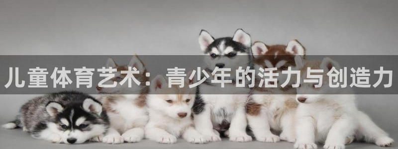 公海赌赌船官方正版app代理