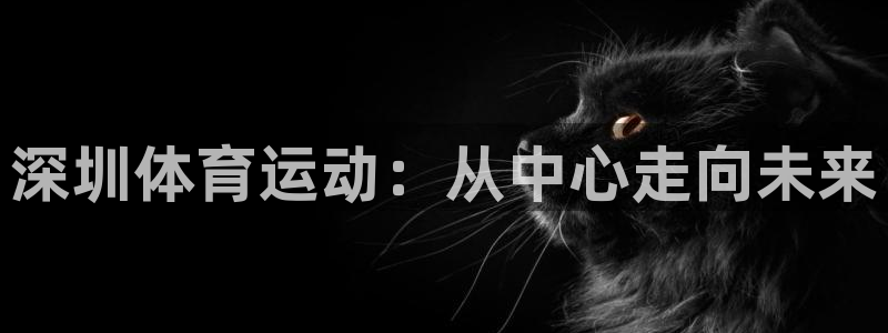 公海赌赌船官方正版app集团简介：深圳体育运动：从中心走向未