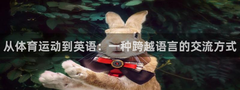 公海赌赌船官网下载：从体育运动到英语：一种跨越语言的交流方式