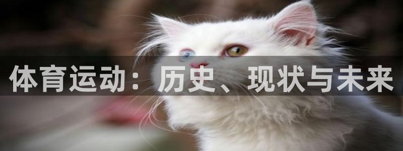 公海赌赌船官方正版app娱乐网站：体育运动：历史、现