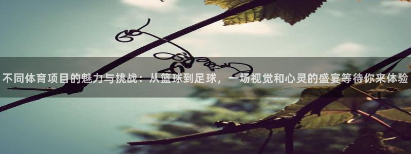 公海赌赌船官方正版app娱乐下载