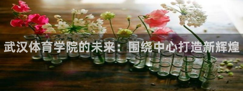 公海赌赌船官方正版app集团E.ON
