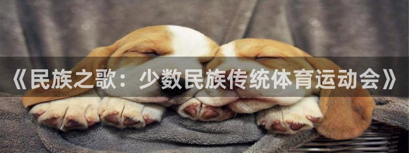 公海赌赌船官网下载平台注册流程图：《民族之歌：少数民