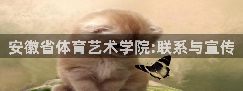 公海赌赌船官方正版app娱乐是那个系列的台子：安徽省体育艺术