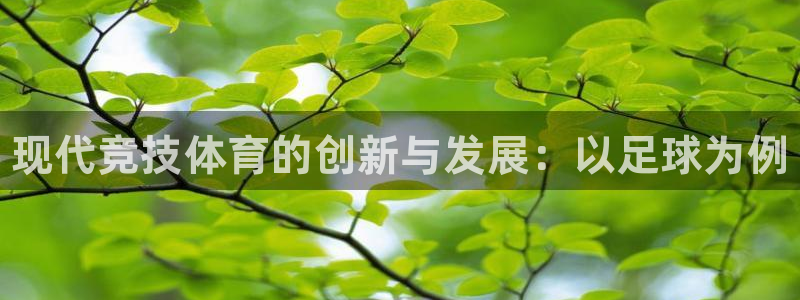 公海赌赌船官网下载是干嘛的公司：现代竞技体育的创新与发展：以