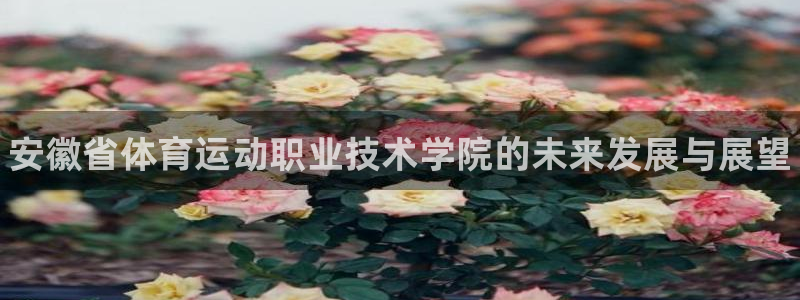 公海赌赌船官网下载招商电话地址是多少