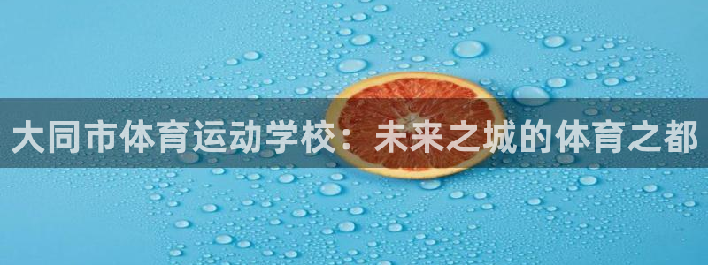 公海赌赌船官方平台体育：大同市体育运动学校：未来之城的体育之
