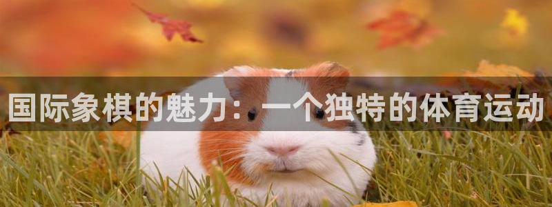 公海赌赌船官网下载平台假的吗是真的吗吗