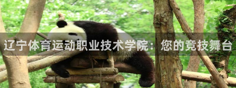 公海赌赌船官方正版app集团logo：辽宁体育运动职